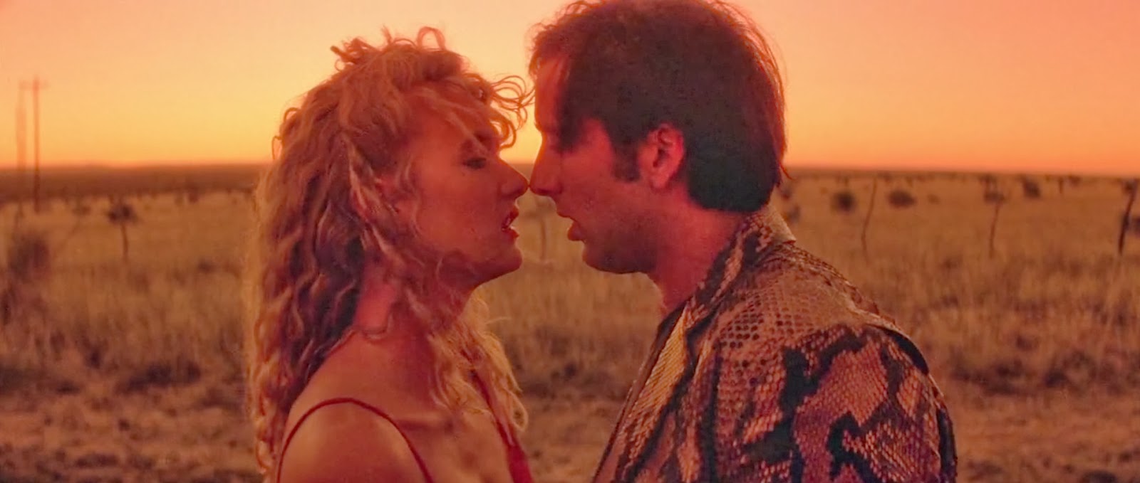 Wild at heart 3